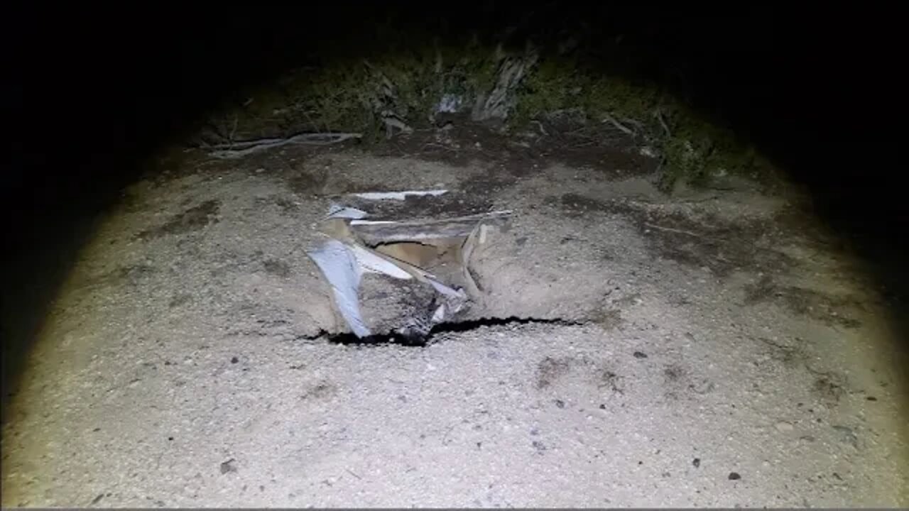 Nonstop Live Coverage Of Nicole