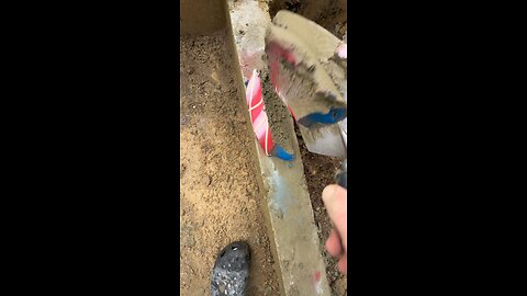 Satisfying videos compilation