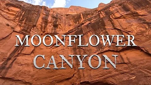 Moonflower Canyon - BLM Moab Field Office