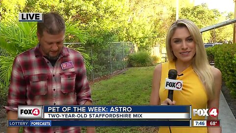 Pet of the Week: Astro