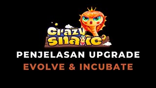 CRAZY SNAKE - Penjelasan Upgrade Evolve dan Incubation