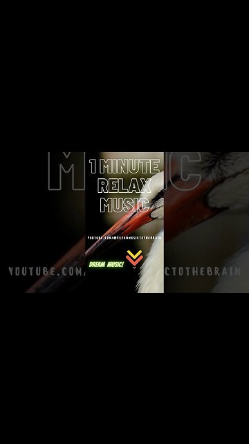 Experience a New Level of Tranquility with this Calming Meditation Music