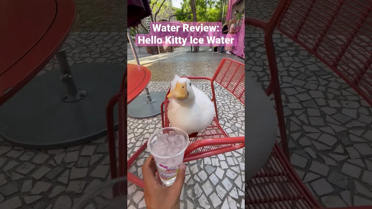 Hello Sippy 💦🦢🎀