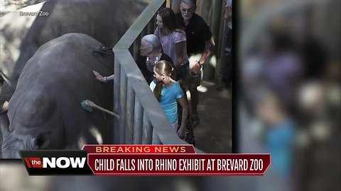 Officials: Florida child transported as trauma alert after falling into rhinoceros exhibit at zoo