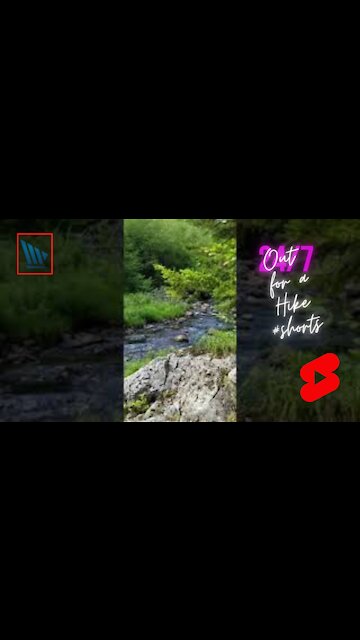 Out for a Hike #shorts