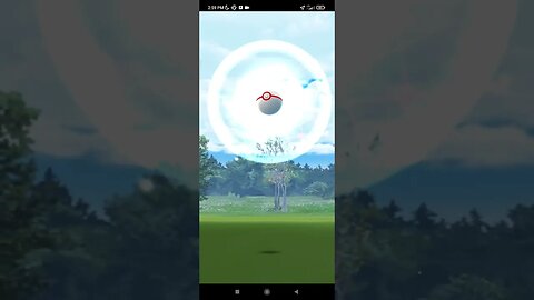 Pokémon GO-Shadow Cubone