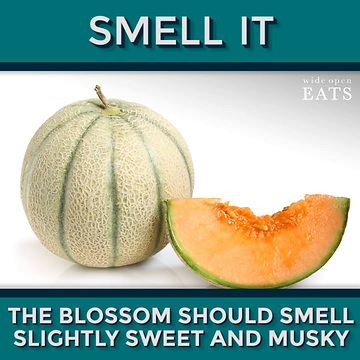 How to Pick a Cantaloupe