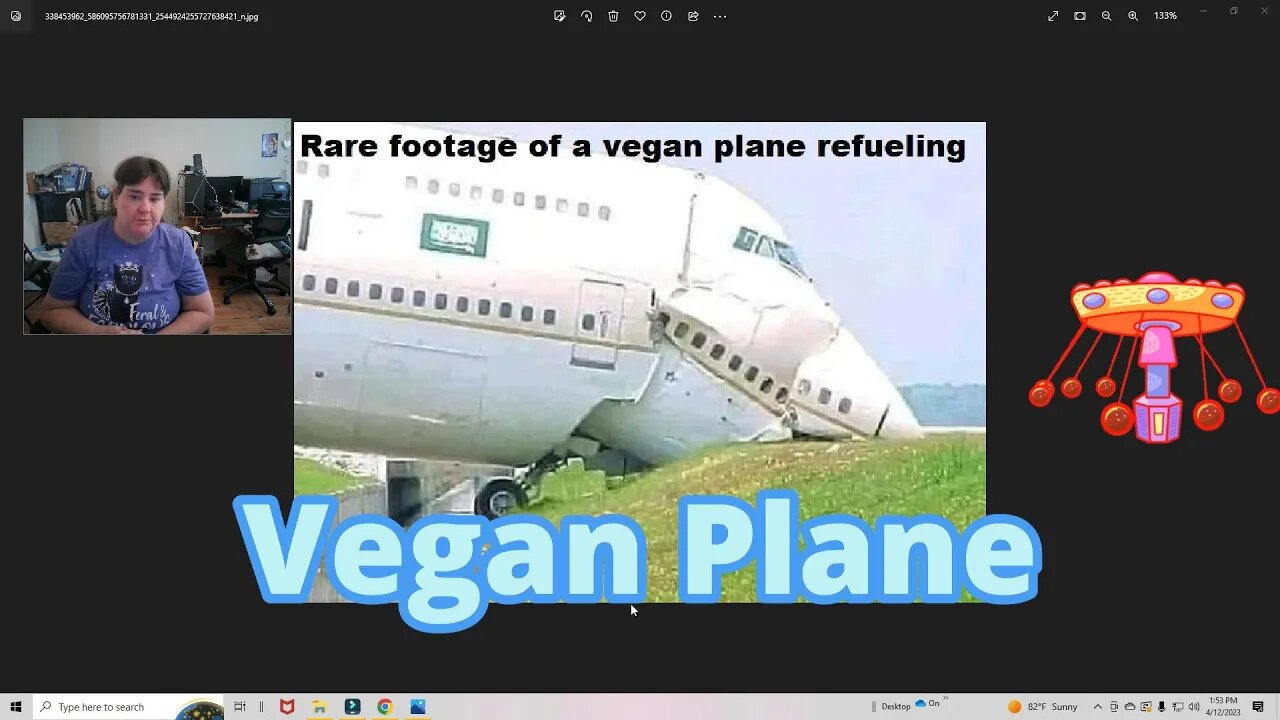 Vegan Plane And More Fun ✈