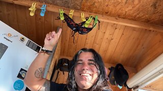 BITCOIN BLOCKCHAIN AND LIFE BEACH TALK AT BAM BAM BEACH