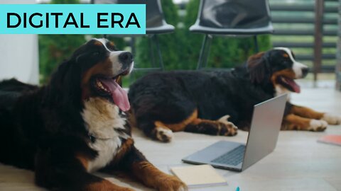 TRAINED AND DIGITALIZED WATCH DOGS