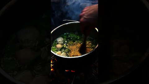 Foraged Mushroom Ramen with Lion's Mane. Bushcraft Cooking over a campfire with wild edibles.