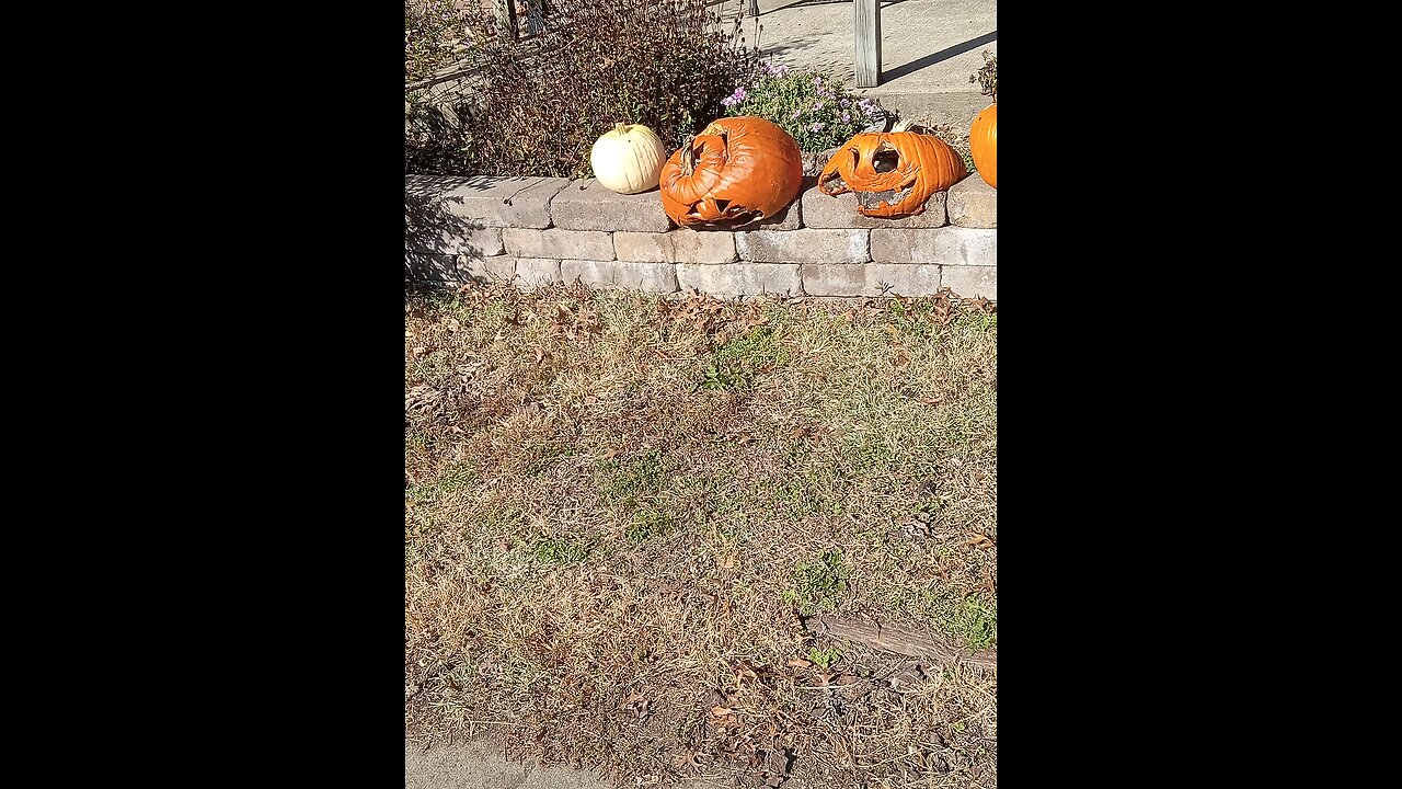 Smashed Pumpkins