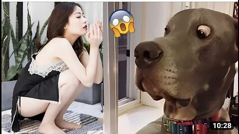 Funniest animals videos,#frsh funny animals video,