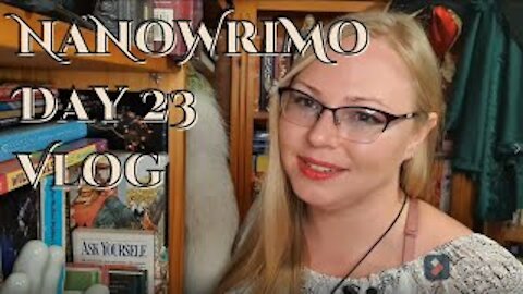 NaNoWrioMo Day 23 Vlog