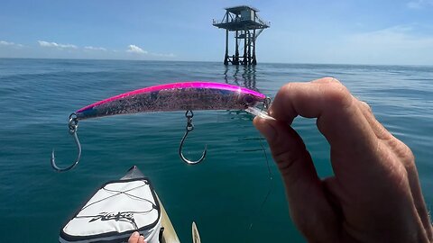 This Is Why You Use This Little Lure Offshore!