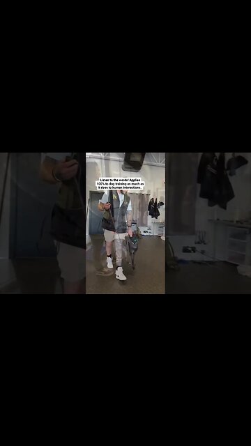 Takers always recognize givers... #dogtraining #dog #dogtrainer #dogsworld