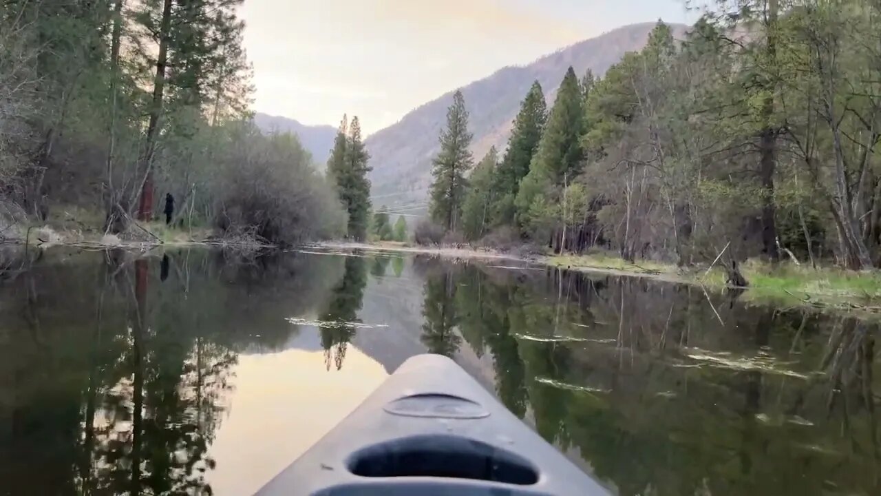 Living the wilderness dream 💭🐄🛶elk