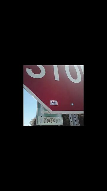 Let's Go Brandon tagging!