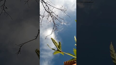 Que Deus abençoe a todos