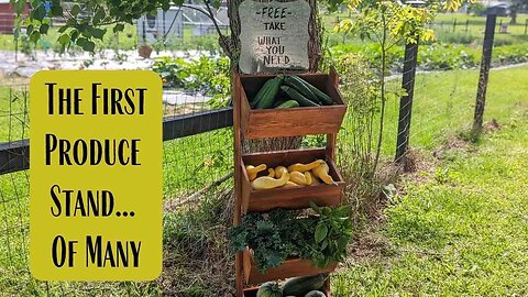 The First Produce Stand