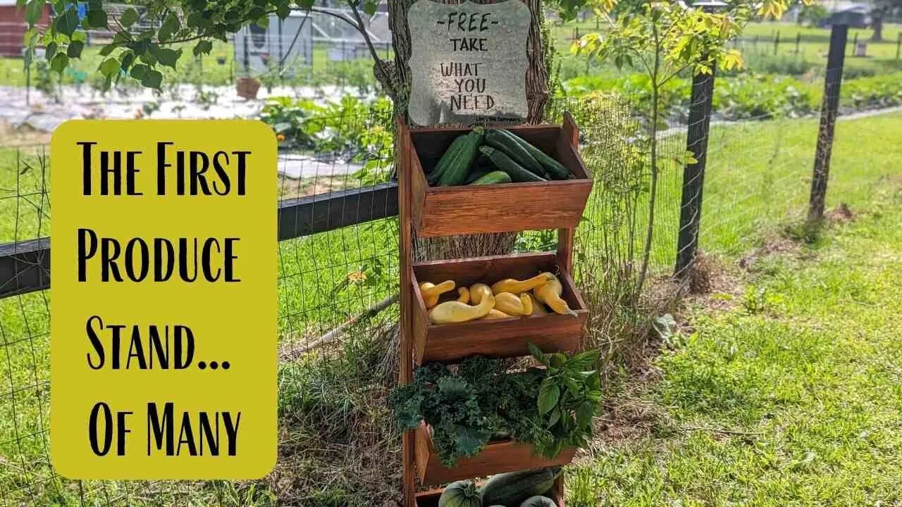 The First Produce Stand