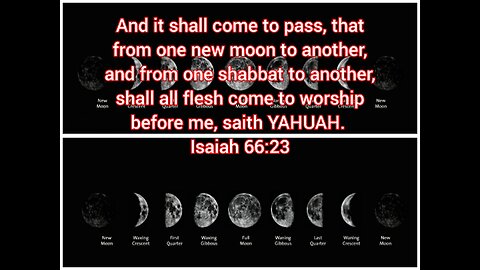 Day Seven The Shabbat