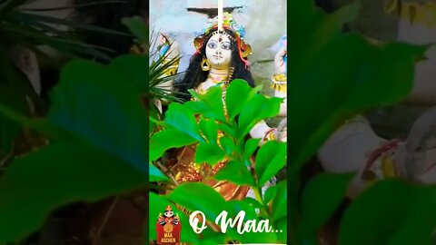 O maa Sherowali l माँ दुर्गा l कमेंट करें जय माता दी l #viral #माँ #दुर्गा #shorts