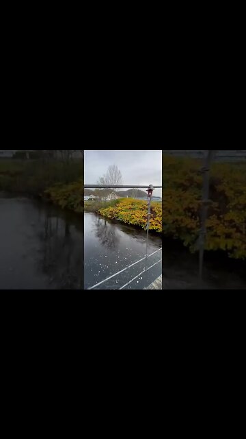 الطبيعة البرية | لحظات نادرة جداً في الطبيعة