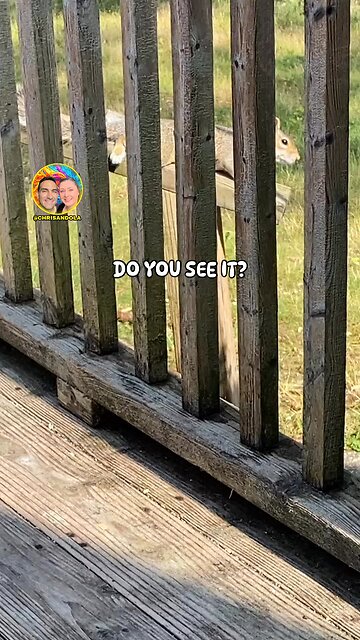 EVER GET THAT FEELING?