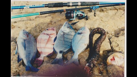 Fishing in Morocco