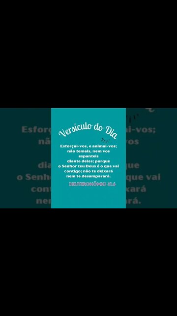 VERSÍCULO DO DIA 11/11/2022.#shorts