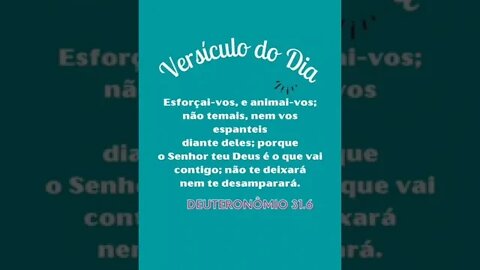 VERSÍCULO DO DIA 11/11/2022.#shorts