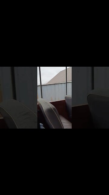 Christmas tree hunting