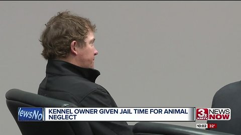 Kennel owner accused of abandoning dozens of dogs given jail time