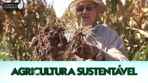 Agricultura Sustentável - com Frederico Olivi