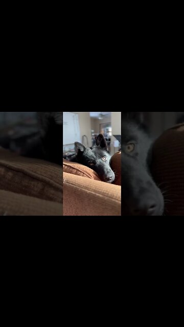 The Last Two Days Of Winter Storm Elliot In North Central Iowa #winterstorm2022 #snowstorm #shorts