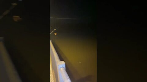 Are the Fish Biting? ￼Fishing in the Dark. Here kitty kitty.
