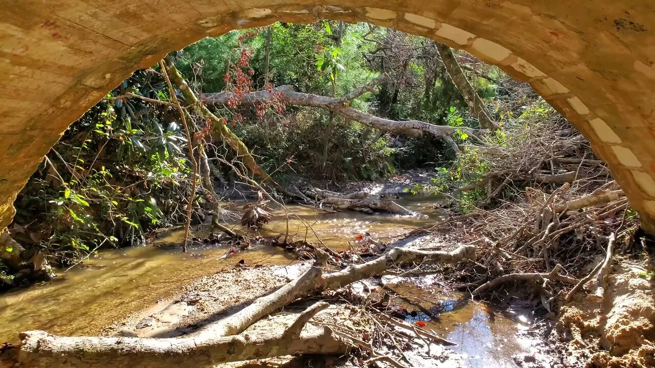 Under the Torreya State Park Stone Bridge facing South