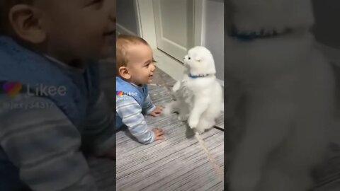 Cute Baby Playing With Cute Dog #shorts