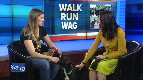 Take part in Run, Walk, Wag to save animals