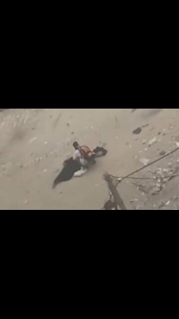 Innocent Women Seeking Refuge Killed in Cold Blood by Your Friendly Neighborhood Jews