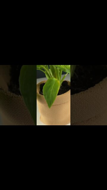 Realistic 3D Printed Burlap Plant Pot #shorts