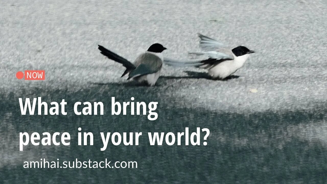 What can bring peace in your world? | amihai.substack.com | Art of Now