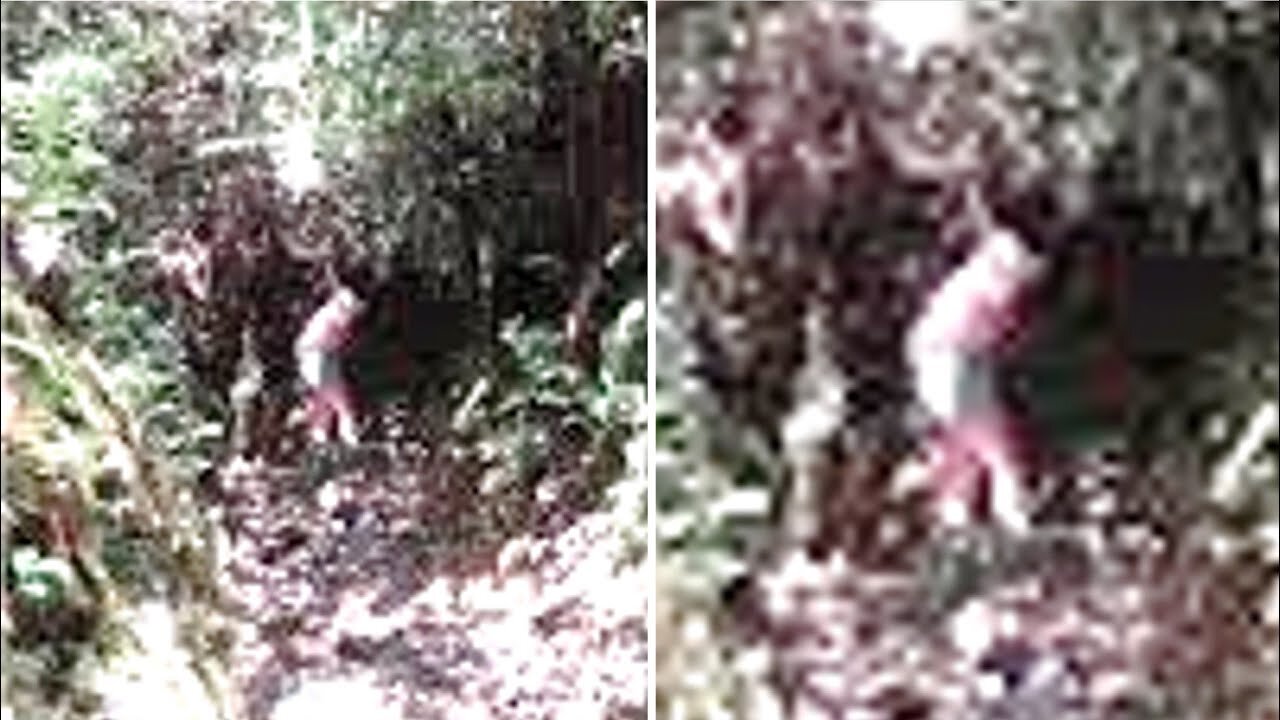 This Chilling Photograph That Was Captured On Hikers' Camera Show Final Moments In The Jungle