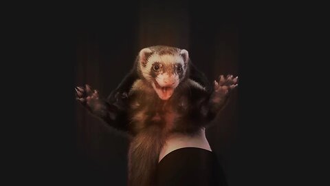 Gotferret?