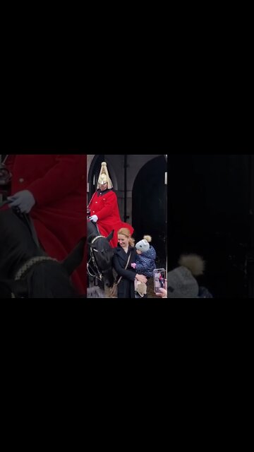 A very sweet horse #horseguardsparade