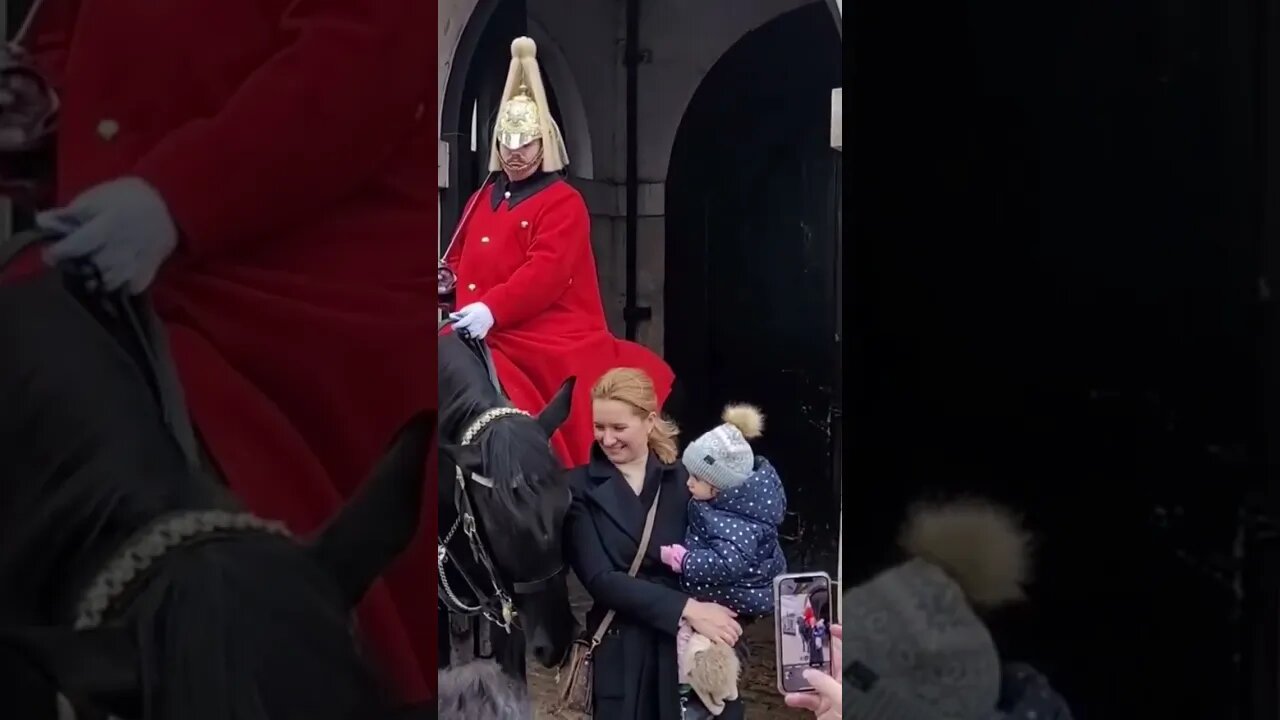 A very sweet horse #horseguardsparade