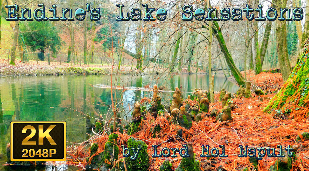 Endine's Lake Sensations