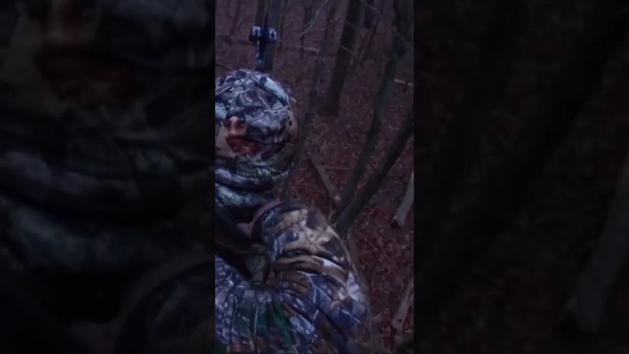 Threading the needle! BUCK DEAD💀#shortvideo #shorts #deer