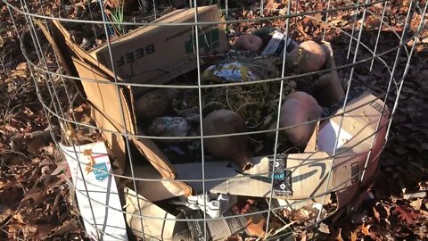 How to keep critters out of your compost